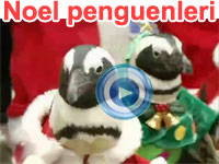 Noel Baba olan penguenler - video | BBC Ortak yayın