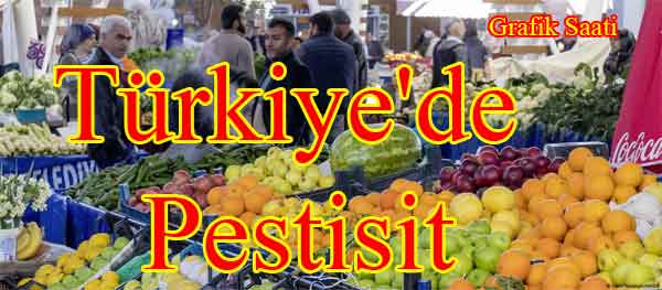 Trkiye'de pestisit
